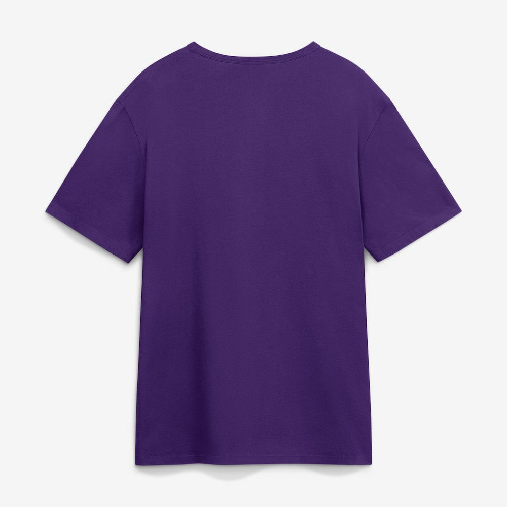 Tampa Bay Rays Alternate Logo Legacy T-Shirt - Purple