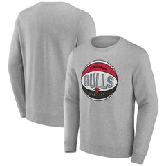Chicago Bulls Hard Color Pullover Sweatshirt sale - Gray online