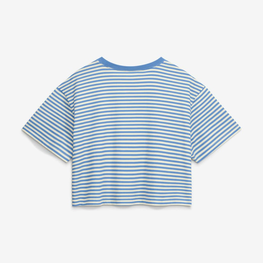 Chicago Cubs Women's Cooperstown Collection Striped Cropped T-Shirt - Light Blue/Cream | Nike