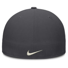 Washington Nationals Dri-FIT True Fitted Hat - Cream | Nike