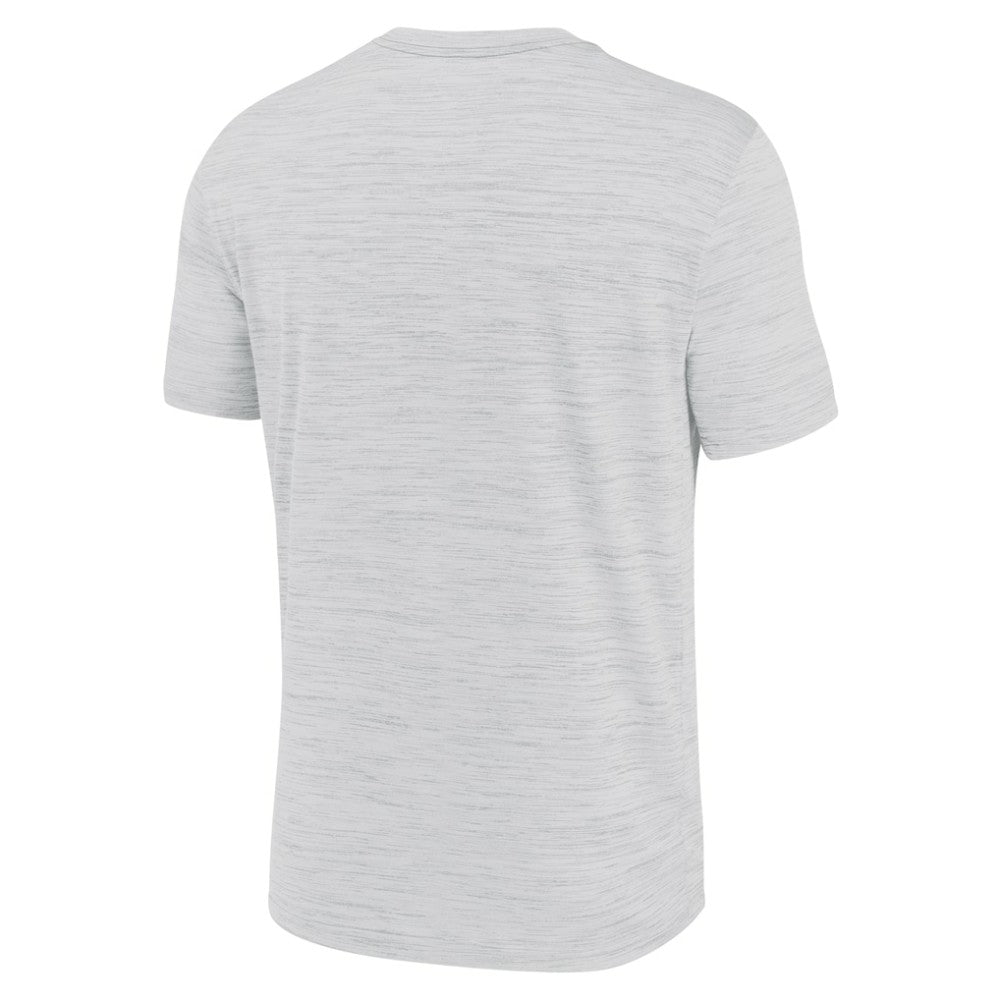 Detroit Tigers Velocity Team City Baseball Dri-FIT T-Shirt - Ash | Nike