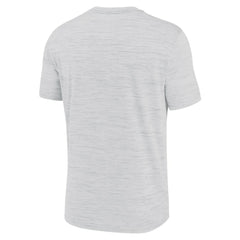 Detroit Tigers Velocity Team City Baseball Dri-FIT T-Shirt - Ash | Nike