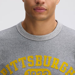 Pittsburgh Steelers IconicFleece Short Sleeve Sweatshirt - Athletic Heather Gray online