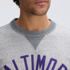 Baltimore Ravens IconicFleece Pocket Sweatshirt - Heather Gray on sale