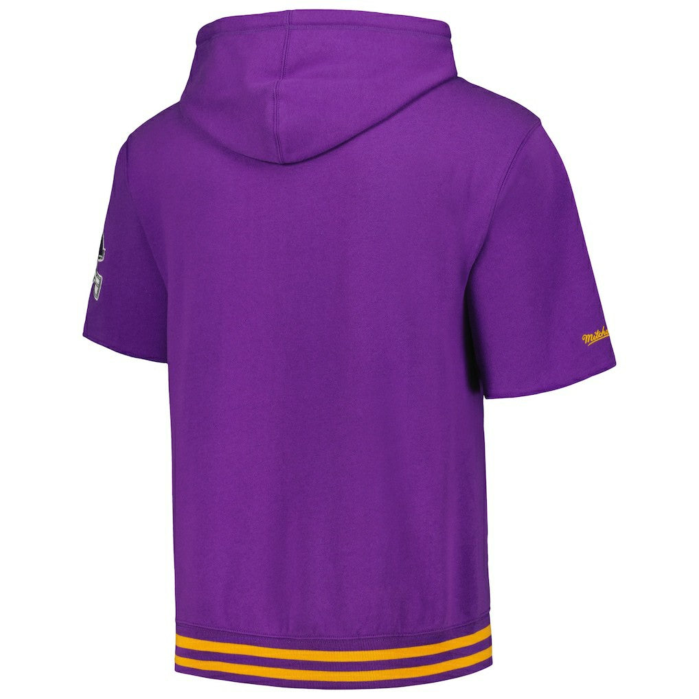 Minnesota Vikings Pre-Game Short Sleeve Pullover Hoodie - Purple sale