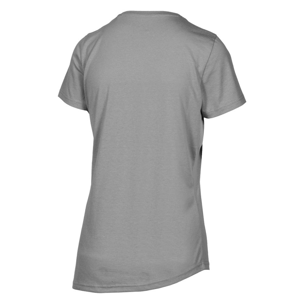 Arizona Diamondbacks Levelwear Women's Birch Chase T-Shirt - Heather Gray
