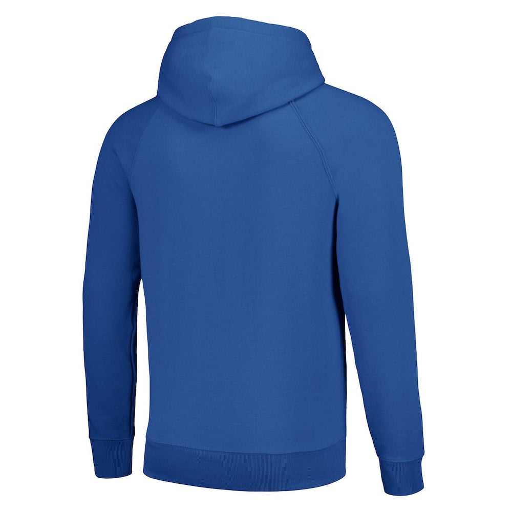 Dallas Cowboys Homage Unisex Hyperlocal Raglan Pullover Hoodie - Royal on sale