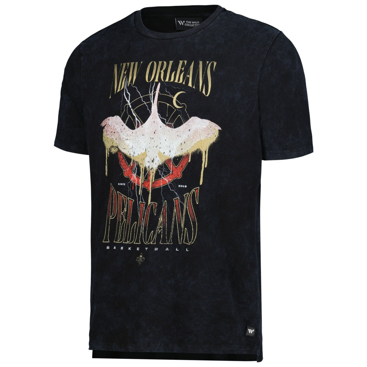 New Orleans Pelicans The Wild Collective Unisex Tour Band T-Shirt - Black discount