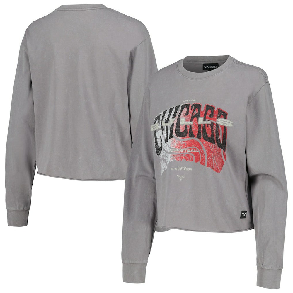 Chicago Bulls The Wild Collective Women's Band Cropped Long Sleeve T-Shirt sale - Gray for sale