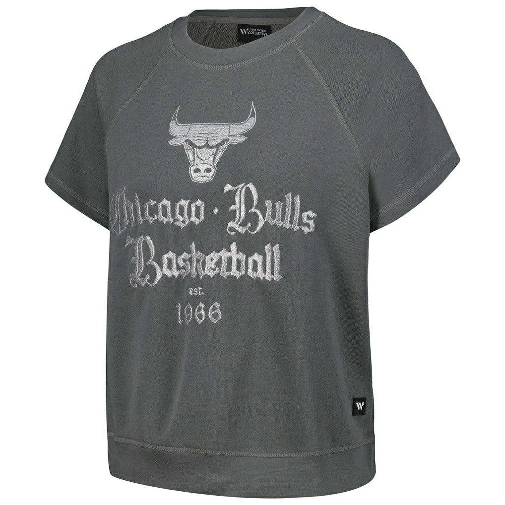 Chicago Bulls The Wild Collective Women's Embroidered Fleece Raglan Short Sleeve Pullover Sweatshirt sale - Gray sale