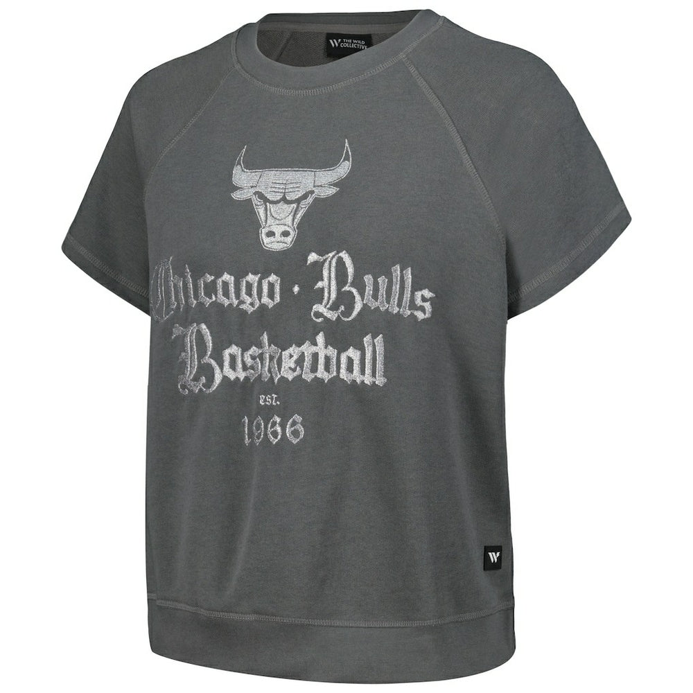 Chicago Bulls The Wild Collective Women's Embroidered Fleece Raglan Short Sleeve Pullover Sweatshirt sale - Gray sale