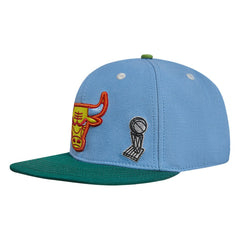 Chicago Bulls Pro Standard Retro Program 2-Tone Snapback Hat - Light Blue/Green discount