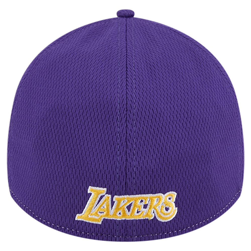 Los Angeles Lakers Two-Tone 39THIRTY Flex Hat - Heather Gray/Purple | New Era for sale