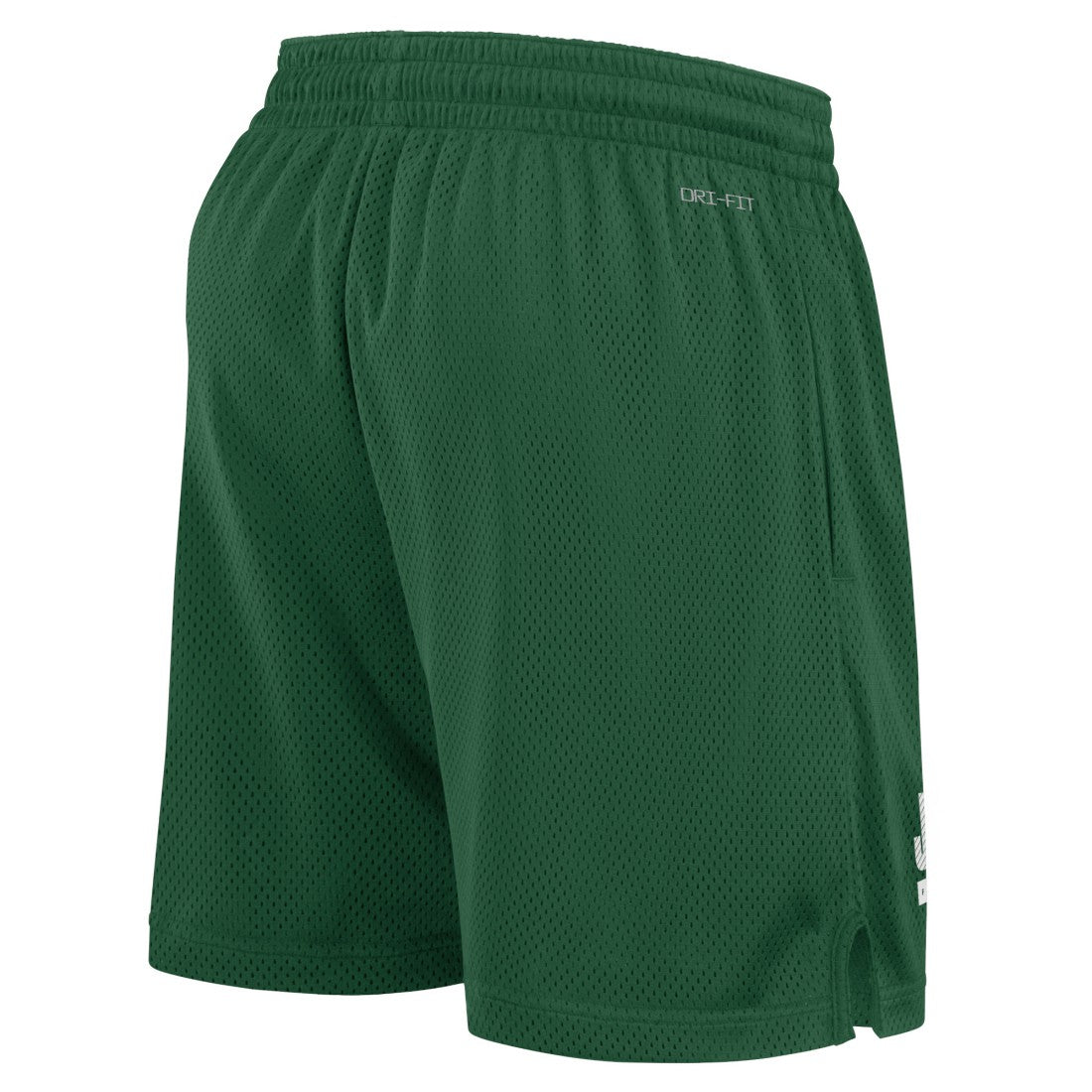 New York Jets 2024 Sideline Performance Mesh Shorts - Green | Nike on sale