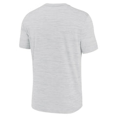 Baltimore Ravens Blitz Velocity Modern Dri-FIT T-Shirt - Ash | Nike for sale