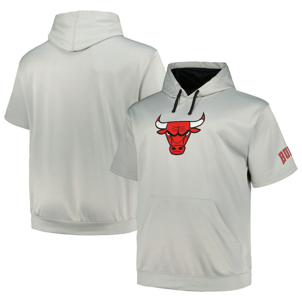 Chicago Bulls Big & Tall Logo Pullover Hoodie - Silver | Fanatics on sale