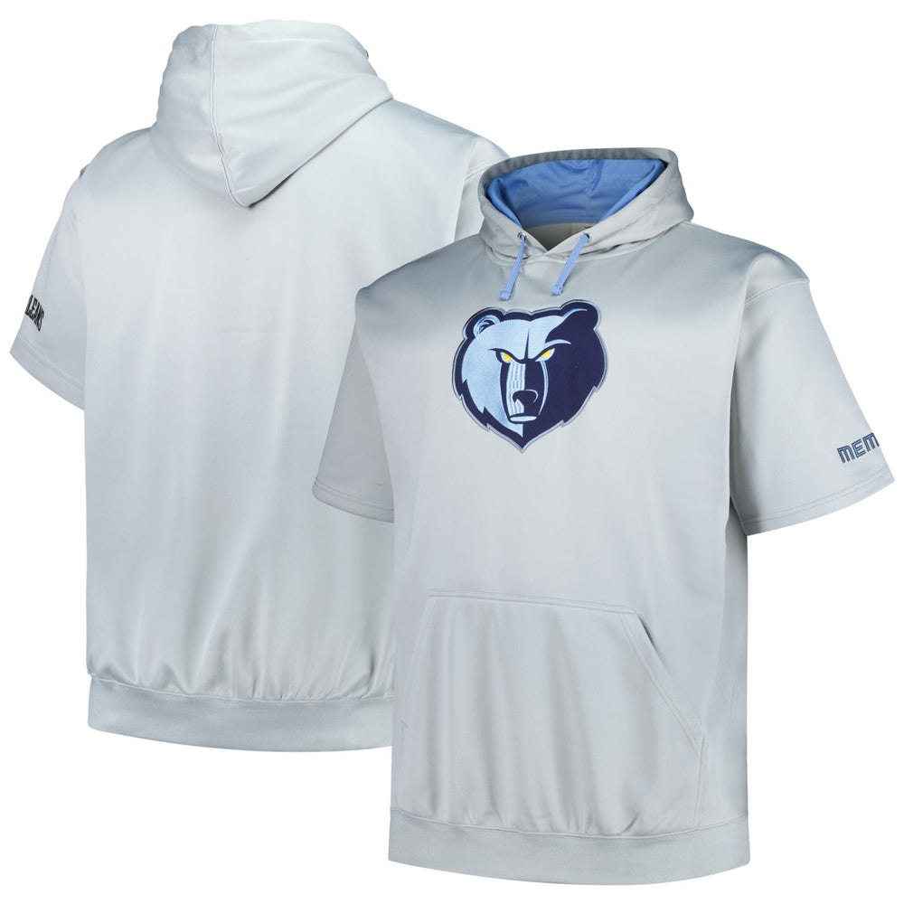 Memphis Grizzlies Big & Tall Logo Pullover Hoodie - Silver | Fanatics online