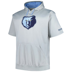 Memphis Grizzlies Big & Tall Logo Pullover Hoodie - Silver | Fanatics online