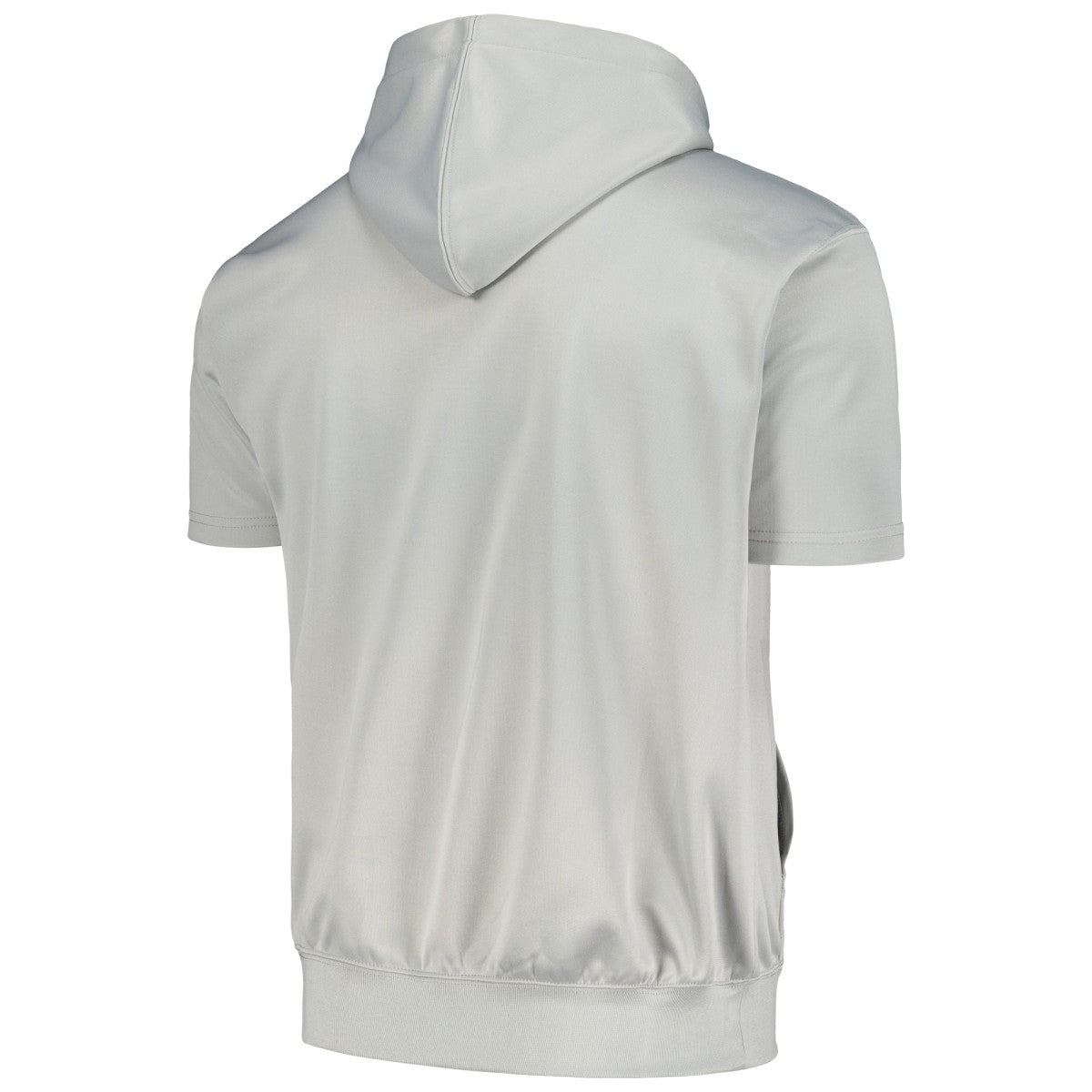 Phoenix Suns Big & Tall Logo Pullover Hoodie - Silver | Fanatics online