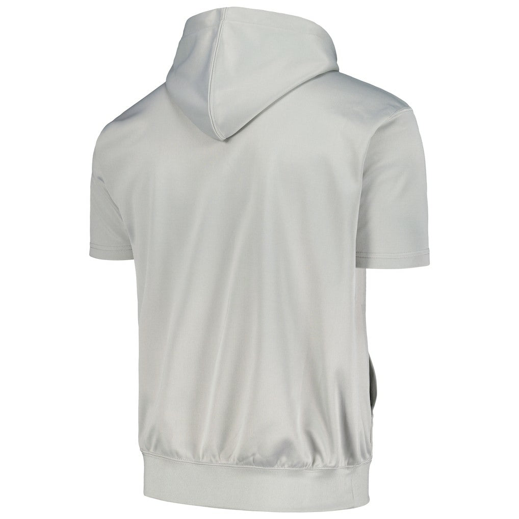 Golden State Warriors Big & Tall Logo Pullover Hoodie sale - Silver | Fanatics online