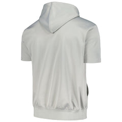 Golden State Warriors Big & Tall Logo Pullover Hoodie sale - Silver | Fanatics online