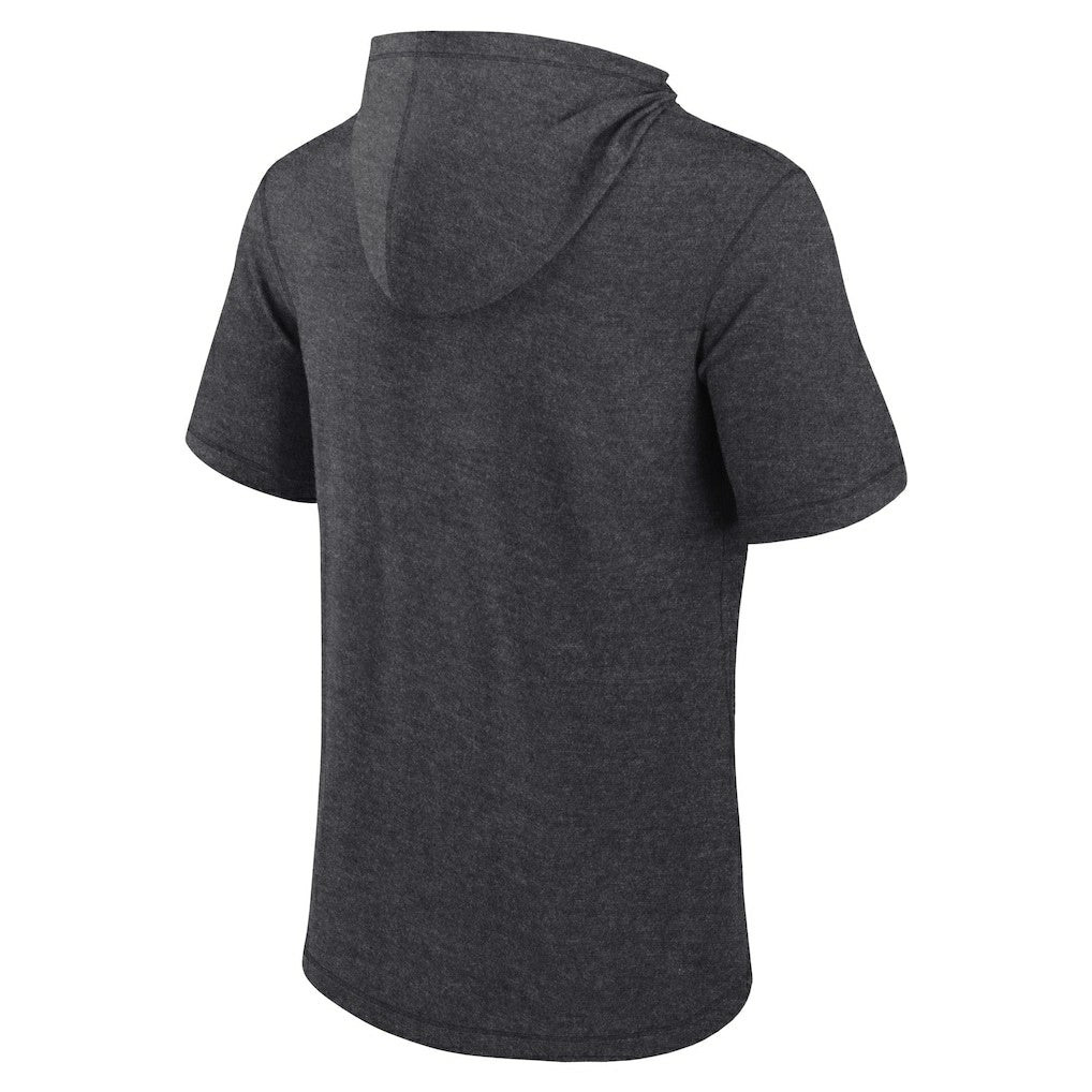 Carolina Panthers Push Short Sleeve Pullover Hoodie - Heather Charcoal outlet