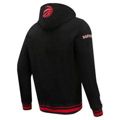 Toronto Raptors Pro Standard Script Tail Pullover Hoodie - Black outlet