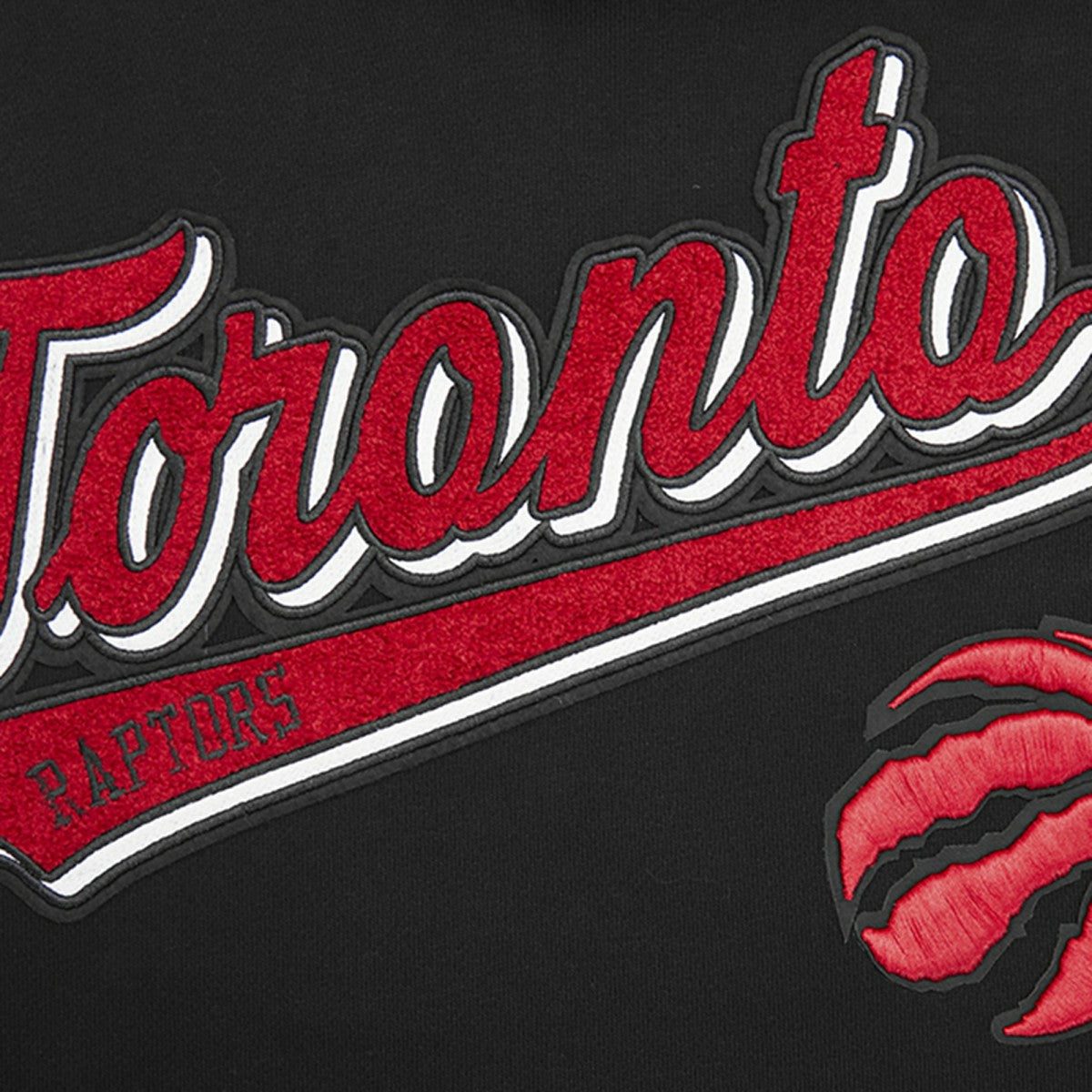 Toronto Raptors Pro Standard Script Tail Pullover Hoodie - Black outlet