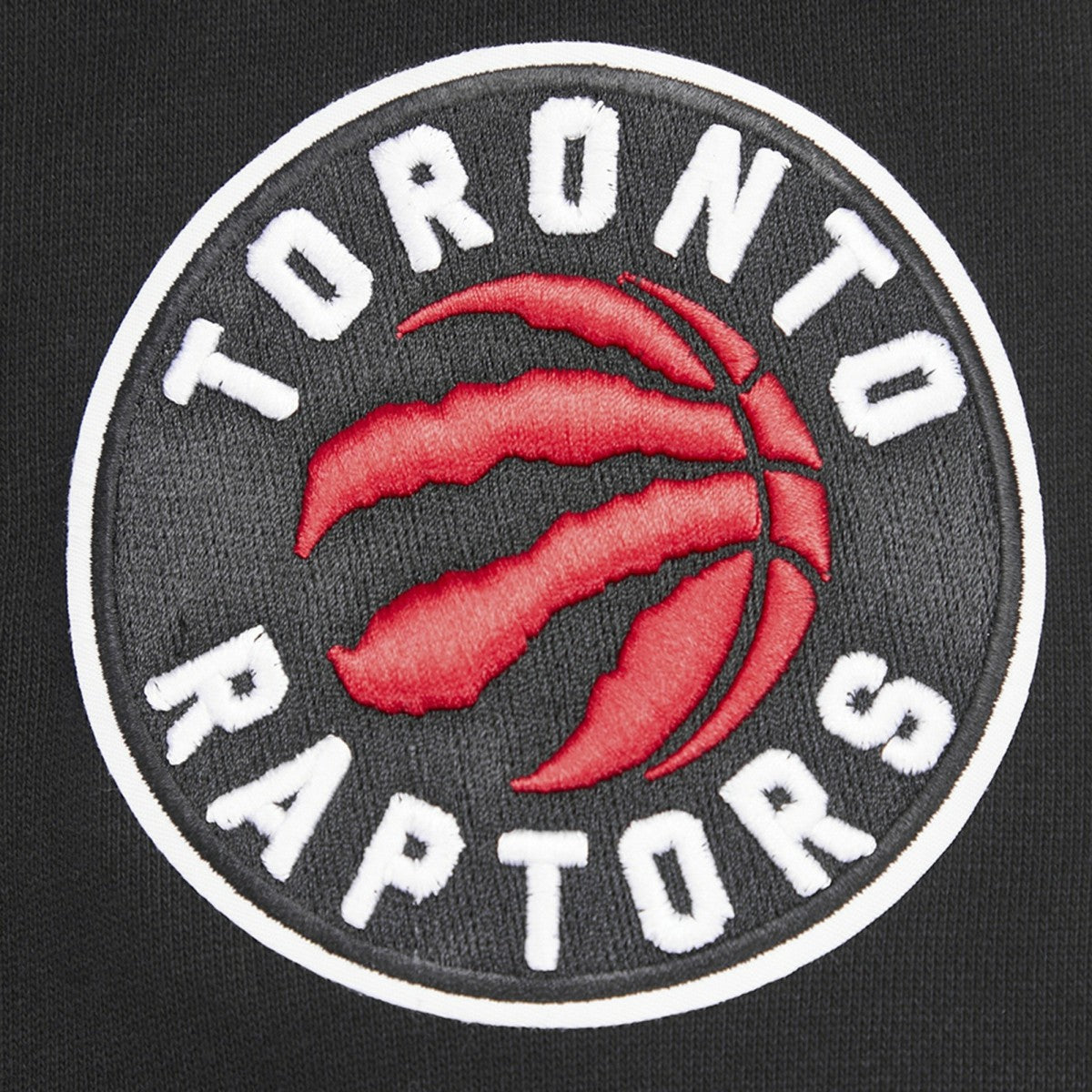 Toronto Raptors Pro Standard Script Tail Pullover Hoodie - Black outlet