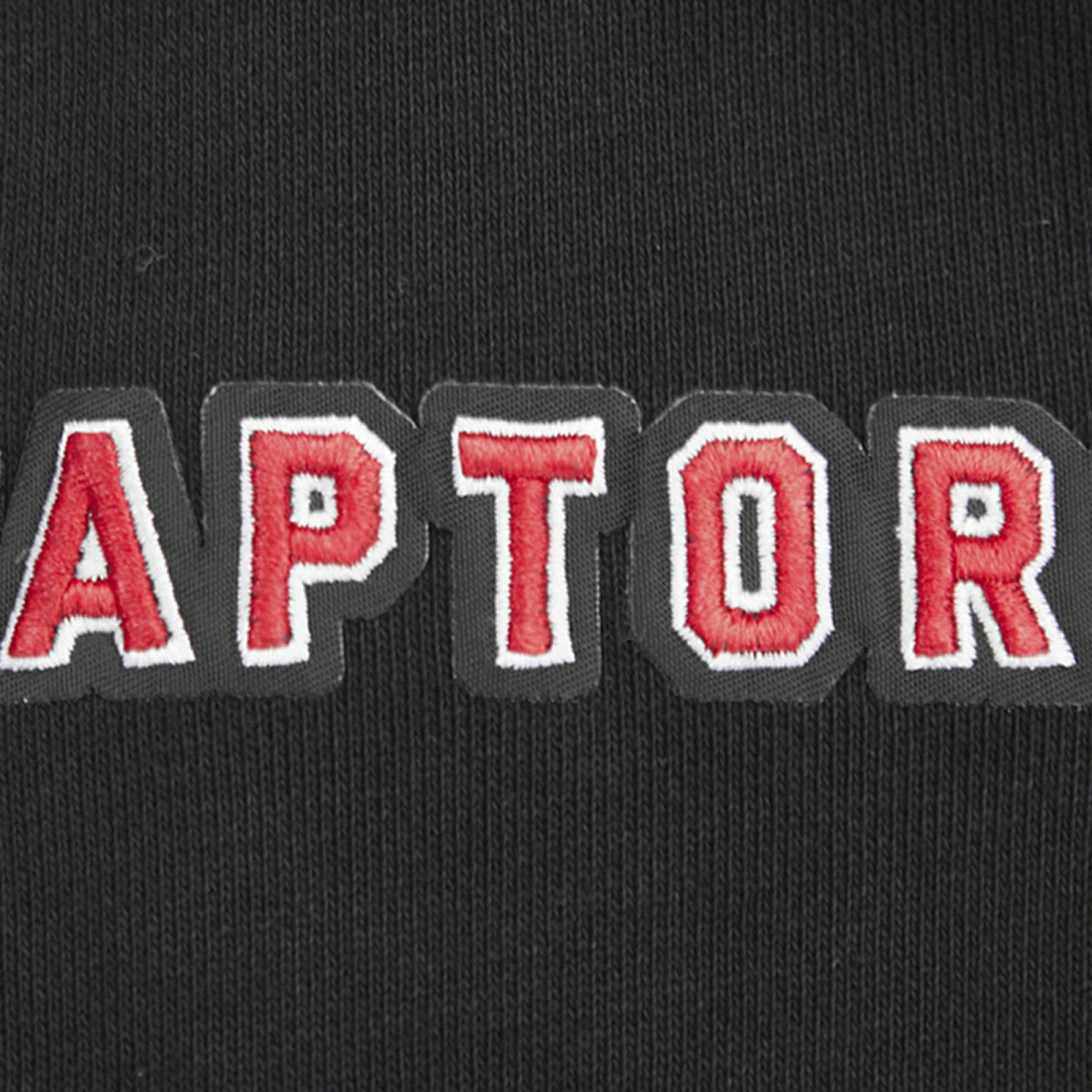 Toronto Raptors Pro Standard Script Tail Pullover Hoodie - Black outlet