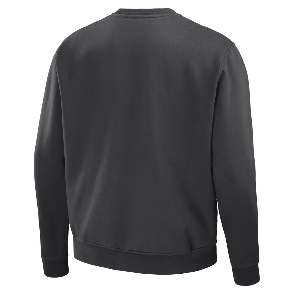 Toronto Raptors NBA x Staple Plush Pullover Sweatshirt - Anthracite online