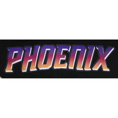 Phoenix Suns Pro Standard 2023/24 City Edition Pullover Hoodie - Black outlet