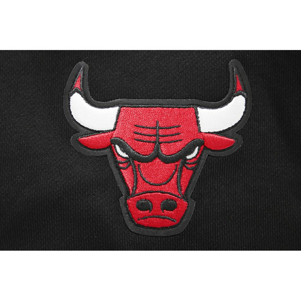 Chicago Bulls Pro Standard Women's 2023/24 City Edition Cropped Pullover Hoodie - Black cheap