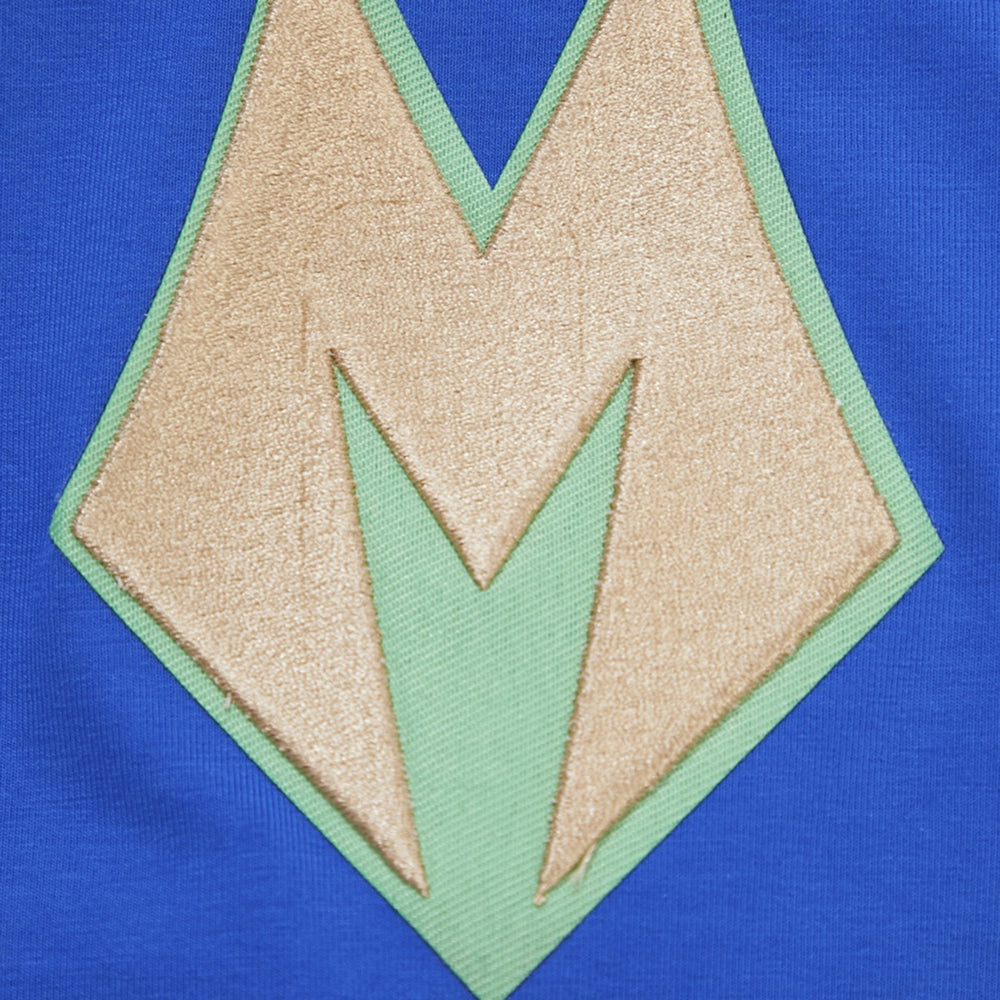 Milwaukee Bucks Pro Standard T-Shirt - Royal outlet