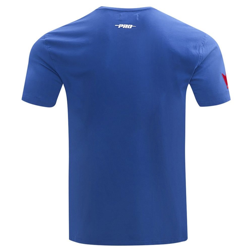 Sacramento Kings Pro Standard T-Shirt - Blue cheap