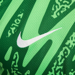 Paris Saint-Germain 2024/25 Goalkeeper Replica Stadium Long Sleeve Jersey - Green | Nike outlet