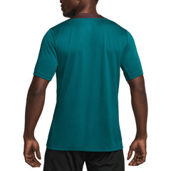 Paris Saint-Germain 2024/25 Strike Performance Top - Teal | Nike discount