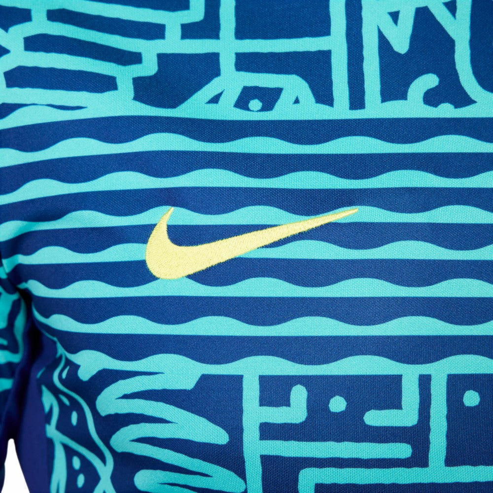 Brazil National Team 2024 Academy Pro Pre-Match Top - Blue | Nike for sale