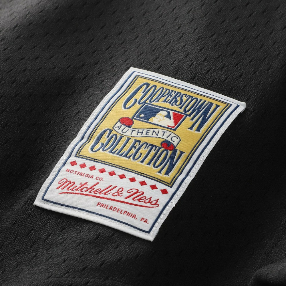 Craig Biggio Houston Astros Authentic Batting Practice Jersey - Black | Mitchell & Ness