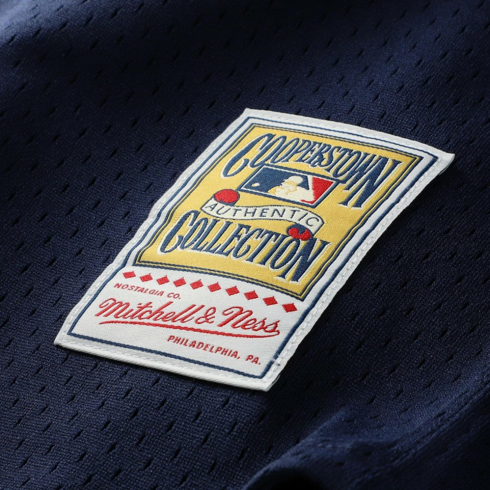 Carlton Fisk Chicago White Sox Authentic Batting Practice Jersey - Navy | Mitchell & Ness