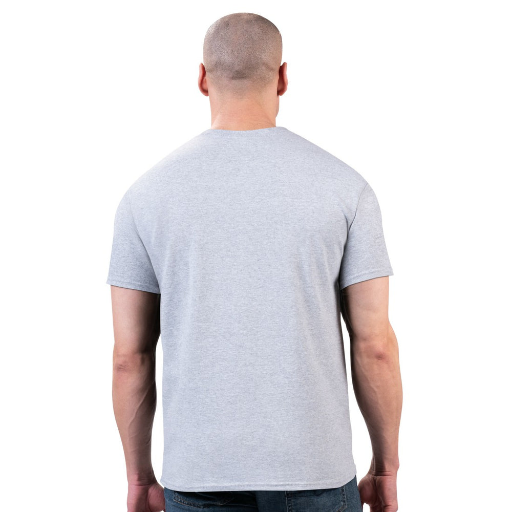 Detroit Lions Starter Logo Graphic T-Shirt - Gray outlet