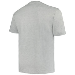 Minnesota Wild Profile Big & Tall Arch Over Logo T-Shirt Heather Gray