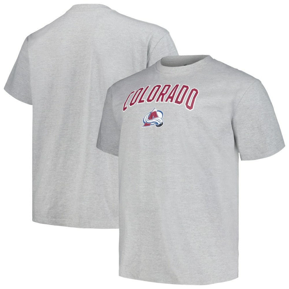 Colorado Avalanche Profile Big & Tall Arch Over Logo T-Shirt Heather Gray