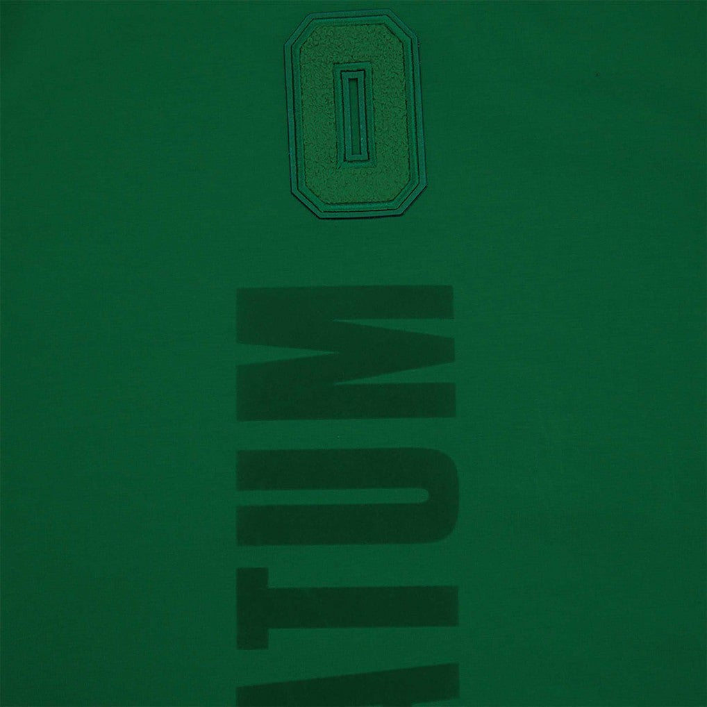 Jayson Tatum Boston Celtics Pro Standard Triple Tonal Player T-Shirt - Kelly Green online