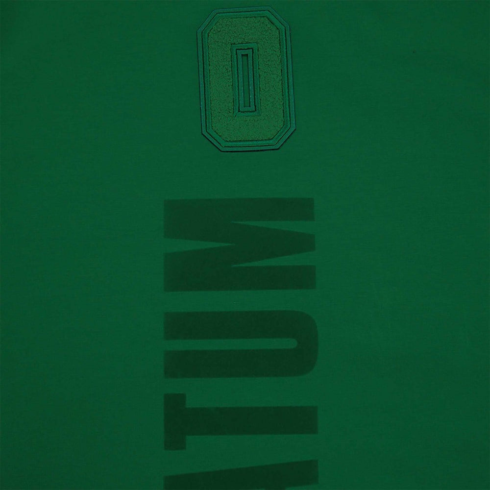 Jayson Tatum Boston Celtics Pro Standard Triple Tonal Player T-Shirt - Kelly Green online