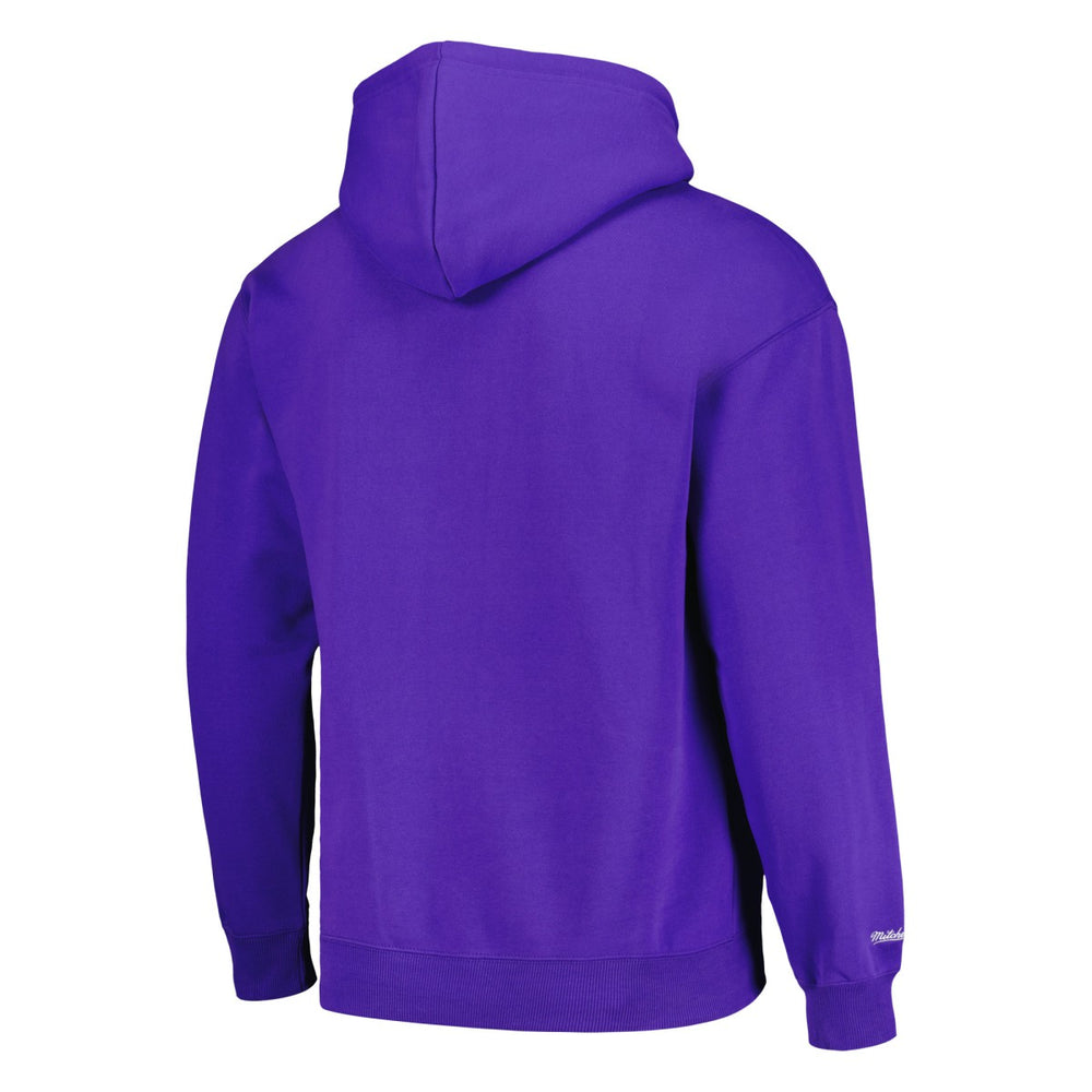 Phoenix Suns Hardwood Classics Tonal Pullover Hoodie - Purple | Mitchell & Ness shop