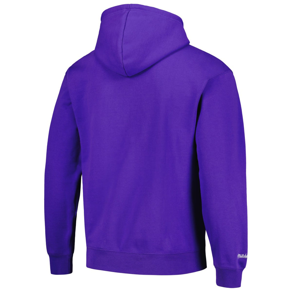 Sacramento Kings Hardwood Classics Tonal Pullover Hoodie - Purple | Mitchell & Ness for sale