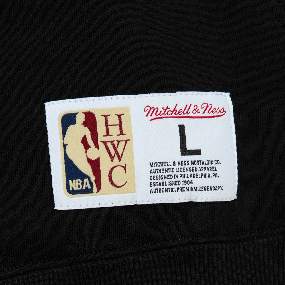 Toronto Raptors Hardwood Classics Tonal Pullover Hoodie - Black | Mitchell & Ness outlet
