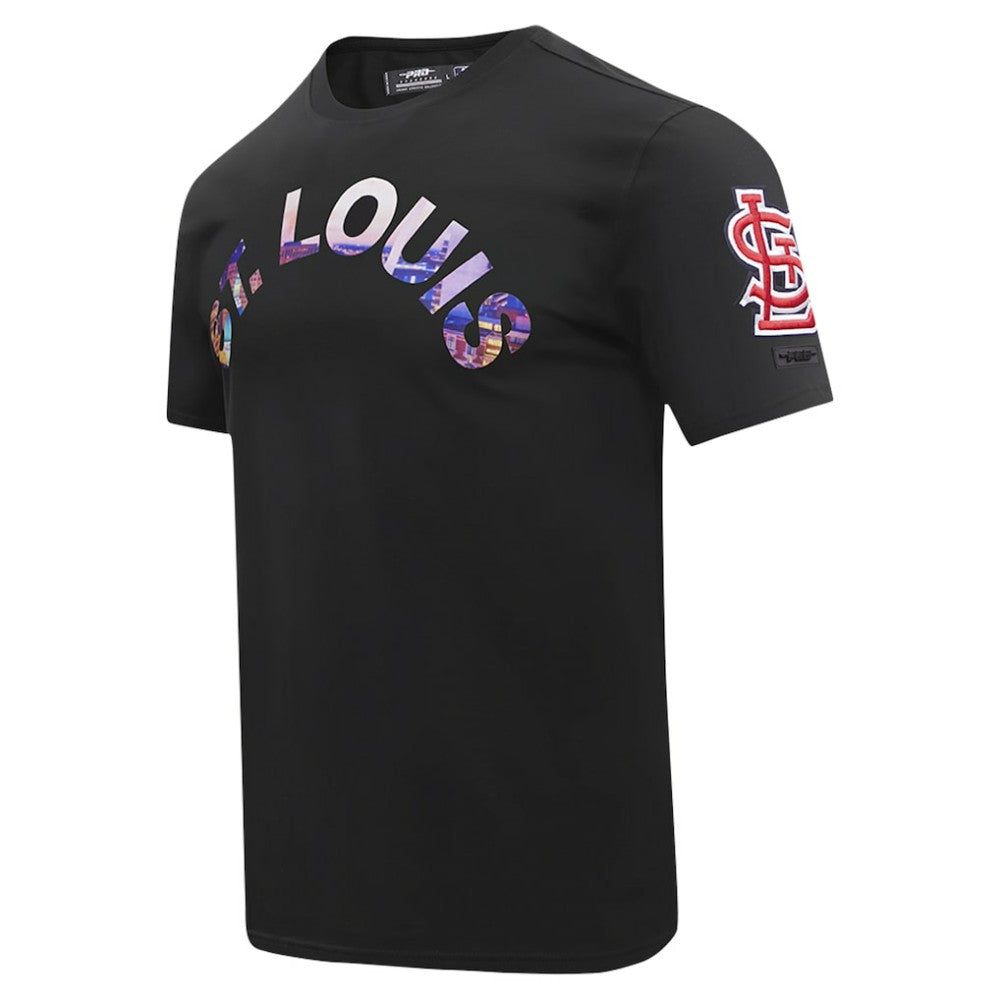 St. Louis Cardinals Pro Standard Cityscape T-Shirt - Black