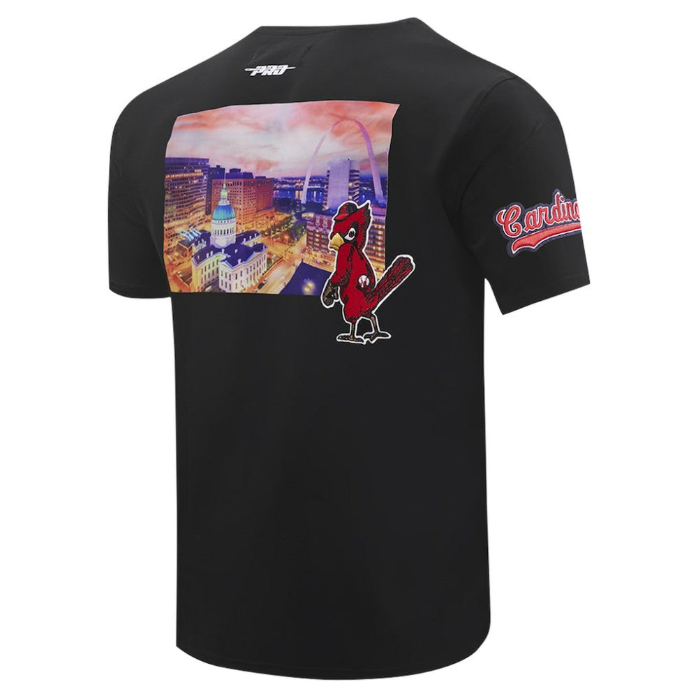 St. Louis Cardinals Pro Standard Cityscape T-Shirt - Black